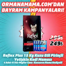 Reflex Plus Kuzu Etli Pirincli Yetiskin Kedi Mamasi 15 Kg 4 Adet 415 Gr Miglior Gatto