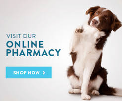 Read more at houston methodist. Critter Care Animal Hospital Critter Care Animal Hospital