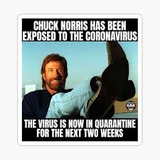 Chuck Norris Meme Stickers Redbubble This biography of chuck norris provides detailed information about his childhood, life, achievements. redbubble