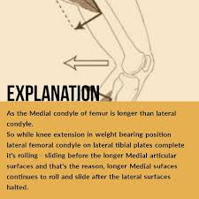 On the posterior surface of the condyle the linea aspera turns into the medial and lateral supracondylar ridges, respectively. Answer Is B Medial Condyle Of Femur Emerging Physios Facebook