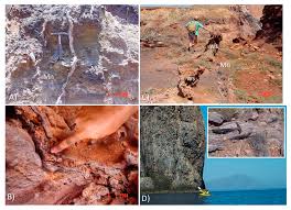 On sunday, he said the water was primarily saltwater from a dredging project mixed with legacy process water and storm water runoff. Minerals Free Full Text Exceptional Preservation Of Fungi As H2 Bearing Fluid Inclusions In An Early Quaternary Paleo Hydrothermal System At Cape Vani Milos Greece Html