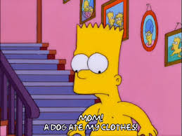 Bart simpson episode 12 shocked GIF - Find on GIFER