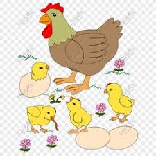 Gunakan ayam kartun png gratis ini untuk desain web, desain dtp, selebaran, proposal, proyek sekolah, poster, dan lainnya. Zainul Iqsan Pelajarsosialazi Profil Pinterest