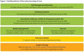 Image result for COPD Exacerbation Decision Tool