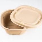 Round Bagasse Sugarcane Bagasee Take Away Food Containers (500Ml Container  + Lid)