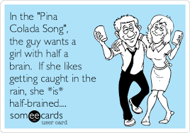 In The Pina Colada Song The Guy Wants A Girl With Half A Brain If She Likes Getting Caught In The Rain She Is Half Brained News Ecard