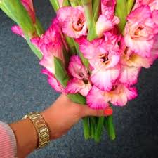 It is a time to celebrate and appreciate their employers. Boss S Day Guide Gift Ideas Ftd