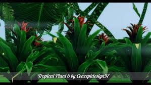 Skyward palms is a neighborhood located in oasis springs, consisting of four lots. Outdoor Pack 5 10 Tropical Plants 5 Palm Trees At Conceptdesign97 Sims 4 Updates