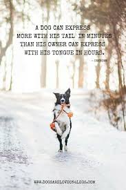 Dog Quote A Dog Can Express More With His Tail In Mins Than His Owner Can Express With His Tongue In Hours Dog Quotes Dogs Dog Friends