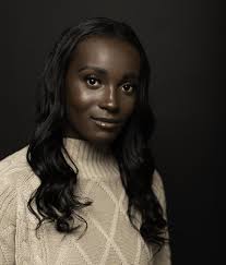 Seven New Faces Join Incumbent In Heber City Council Race