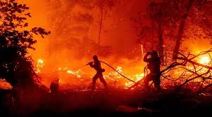 Fire origins mark the fire fighter's best guess of where the fire started. Forecasts Suggest That The 2021 California Wildfire Season Could Be Worst One Yet