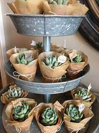Ideas & inspiration » baby » 93 baby shower gift ideas she'll adore. Cute Succulent Cactus Party Ideas For A Baby Shower Or Any Party Baby Shower Party Favors Rustic Baby Shower Baby Shower Decorations