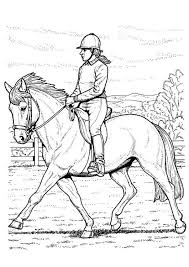 Probeer binnen de lijntjes te blijven en gebruik zoveel mogelijk kleuren. Kleurplaat Paard Rijden Afb 9118 Kleurplaten Paard Tekeningen Paarden