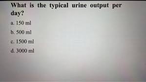 Image result for Urine Output