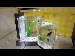 Check spelling or type a new query. Aquarium Ikan Cupang Ikan Hias Unik 2 Tingkat Youtube