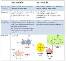 Nucleotides And Nucleic Acid Biochemist01