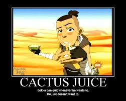 Sokka you might be a cactus juice drinking fool to most, but in my younger days you were the. Avatar The Last Airbender Avatar The Last Airbender Foto 3966900 Fanpop Page 11