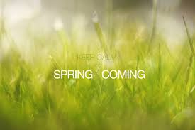Image result for pictures of  spring coming