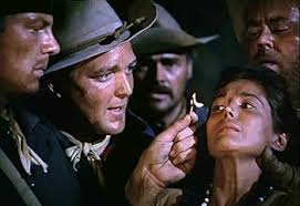 Im Tal des Verderbens [Alemania] [Blu-ray]: Amazon.es: Stack, Robert,  Graves, Peter, Taylor, Joan, McGraw, Charles, Larsen, Keith, Wilke, Robert  J., Reed, Walter, Selander, Lesley, Stack, Robert, Graves, Peter: Películas  y TV