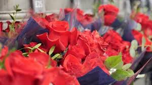 Omani National Day Oman Oman Oman Stock Photo 2079762214