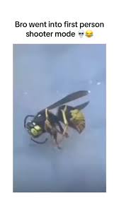 Profile for Kye Nicholas