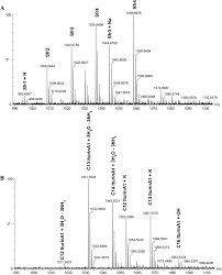 Genetic And Phenotypic Characteristics Of A Multi Strain Probiotic For Broilers Springerlink