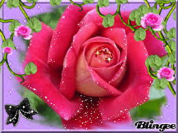 Résultat de recherche d'images pour "coeur blingee"