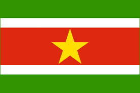 Don't tread med 30 fps. Buy Suriname Flag 3 X 5 Ft For Sale