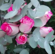 Bella Flor - Home | Facebook