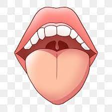 Human Mouth Tongue Organ Tongue Clipart Human Organs Organs Png Transparent Clipart Image And Psd File For Free Download Human Mouth Human Clipart Clip Art