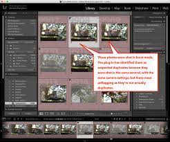 However, i've never used the previous button to copy. How Do I Clean Up Duplicate Photos The Lightroom Queen