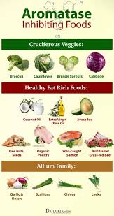 What foods are high in estrogen. 11 Best High Estrogen Foods Ideas Oestrogen Estrogen Foods High Estrogen Foods