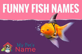 Funny Fish Names 70 Punny Cute Clever Pet Names For Fish My Pet S Name