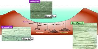 tʃʼikʃuluɓ) is an impact crater buried underneath the yucatán peninsula in mexico. Evolution After Chicxulub Asteroid Impact Rapid Response Of Life To End Cretaceous Mass Astrobiology