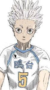 ハイキュー原作 ハイキューマンガ アニメ本 ハイキューファンアート