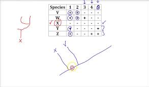 Cladogram Practice Problem Youtube