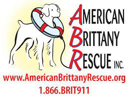 Maybe you would like to learn more about one of these? Rescue Partner Mission Statements Rochester Community Animal Clinic Rcac