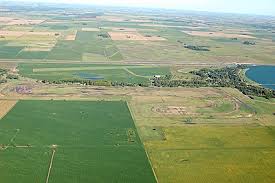 The pampas of argentina are located in many south american countries including argentina, brazil, and uruguay; Pampas Wikipedia