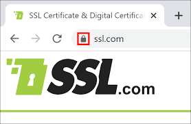 Dv Ov Iv And Ev Certificates Ssl Com