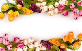 Beautify your mobile, desktop or website with our stunning collection of floral backgrounds. Hd Wedding Backgrounds Wallpaper Bunga Indah Bunga Bunga Indah Menggambar Bunga