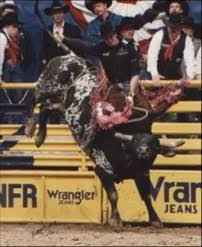 Maybe you would like to learn more about one of these? Jerome Davis Clemson Pbr Challenge