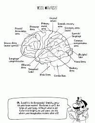 Best anatomy coloring book free from free anatomy and physiology coloring pages coloring home. Download Or Print This Amazing Coloring Page Human Anatomy Coloring Sheets High Quality Coloring Pa Anatomy Coloring Book Coloring Books Words Coloring Book