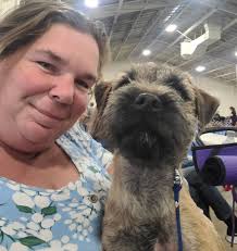 Lndi's Border Terriers