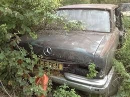 600 In The Woods Voitures Abandonnees Voiture Abandonne