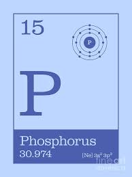 Fleming discovers penicillin 1920 : Periodic Elements 15 Phosphorus P Digital Art By Organic Synthesis