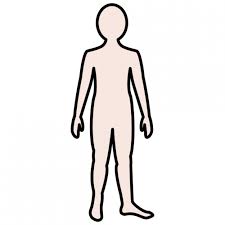 PARTES DEL CUERPO HUMANO - Pictoeduca