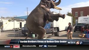 Mummy, daddy and my brother are riding down the pskovsky hill on sleds. The Garden Brothers Circus Comes To Dothan