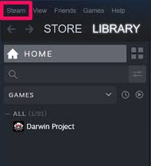 Log in to your family or friend's computer with your steam account. How To Enable Steam Faming Sharing Easily Share Games On Steam