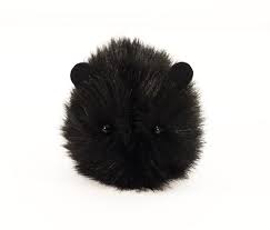 Pin On Guinea Pig