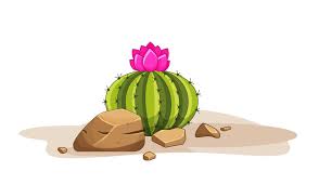 picture of cactus